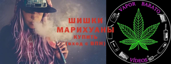 бошки Осинники