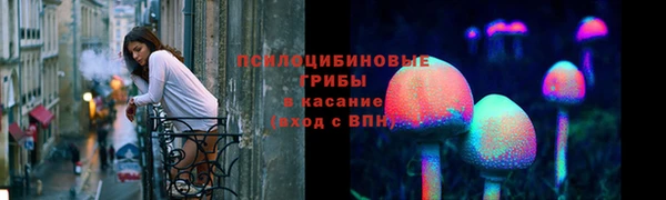 гидропоника Осташков