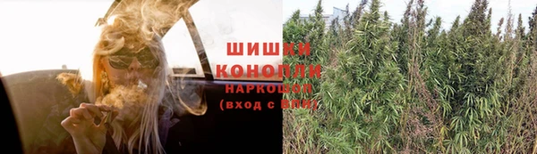 амф Белоозёрский