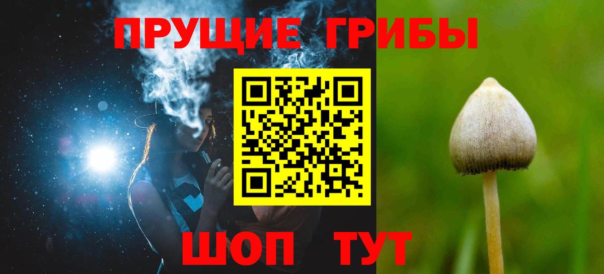 Псилоцибиновые грибы GOLDEN TEACHER  где можно купить наркотик  Набережные Челны  Вход с VPN 